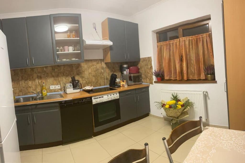 Vila Primitoare In Apropiere De Aeroport Ghiroda Esterno foto